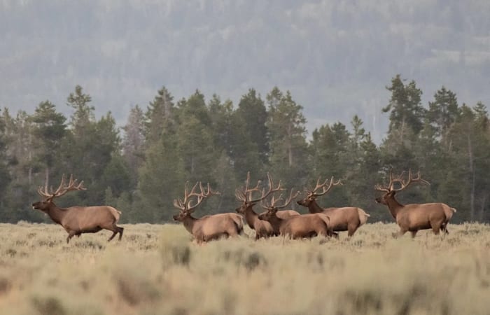 High Country Glassing Setups That Actually Work